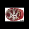 Casque de chantier rouge - bande anti-transpiration - EARLINE | 65105