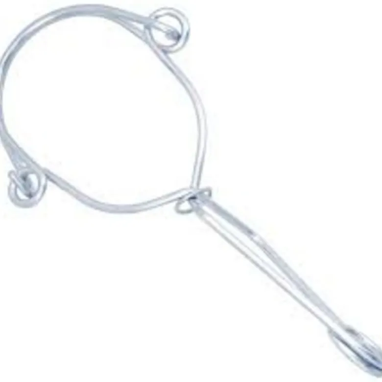 Crochet d'amarrage Inox - GISS | 854296