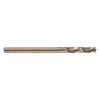 FORET PILOTE LONG -1PC Milwaukee | 4932479469