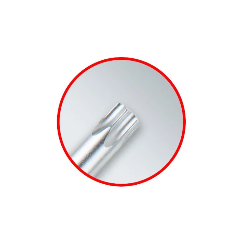 Jeu de clés mâles coudées Torx, longues, 10 pcs KSTools | 151.4880