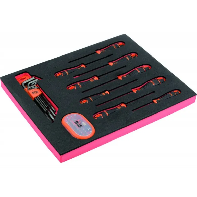 Jeu de tournevis/clés 6 pans/embouts, module mousse 2/3 Fit&Go - 49 pcs - Bahco | FF1F1008