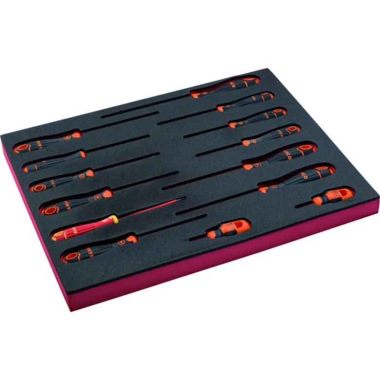 Jeu de tournevis pour vis à fente/Phillips/Pozidriv/TORX, module mousse 2/3 Fit&Go - 14 pcs - Bahco | FF1F1009