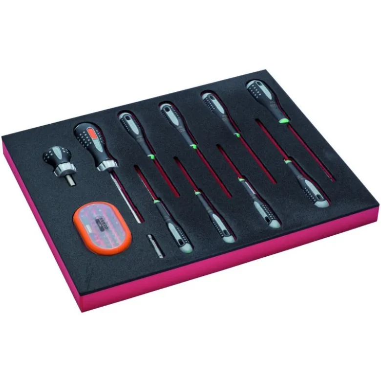 Jeu de tournevis TORX®, module mousse 2/3 Fit&Go - 12 pcs - Bahco | FF1F1005
