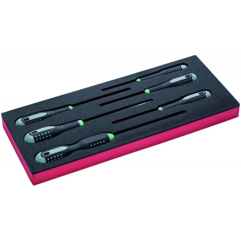 Jeu de tournevis TORX® T10-T40, module mousse 1/3 Fit&Go - 6 pcs - Bahco | FF1E1007