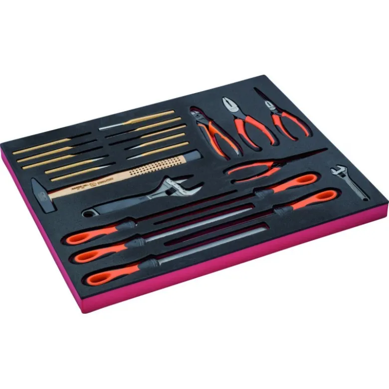 Kit d'outils clés à molette/outils de frappe/limes/pinces, module mousse 3/3 Fit&Go - 22 pcs - Bahco | FF1A5010