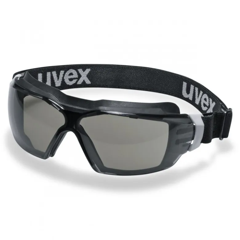 Lunettes de protection panoramiques Pheos CX2 Sonic Uvex | 9309286