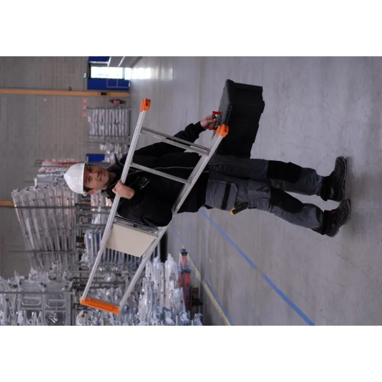 Marchepieds MP PRO 6 marches Tubesca-Comabi | 02370006