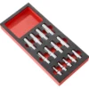 MODULE MOUSSE DOUILLES 6 PANS - FACOM | MODM.HLAPB