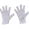 PAIRE DE GANTS CUIR MAITRISE (TAILLE 10) TALIAPLAST | 371105
