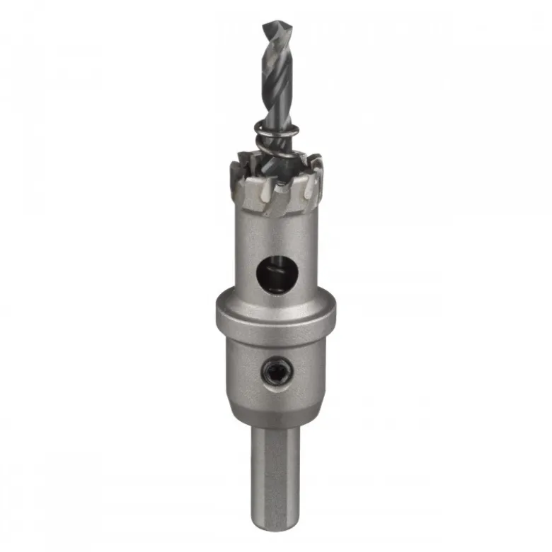 SCIE CLOCHE TCT 19MM Milwaukee | 4932479035